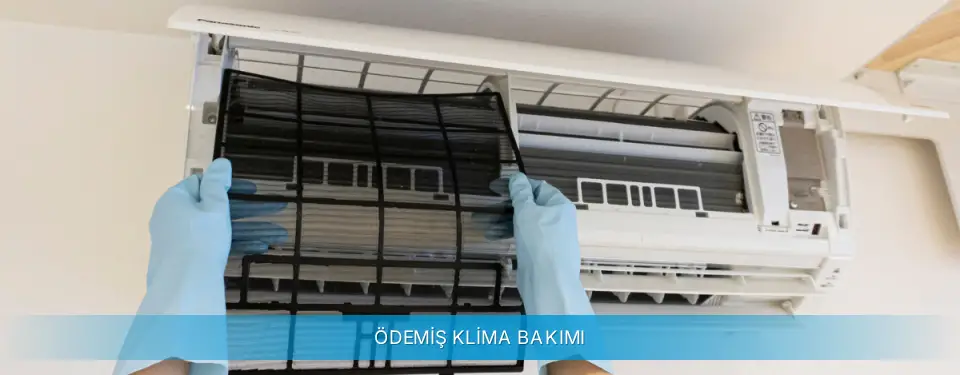 Ödemiş İlçemi Altus Klima Bakımı