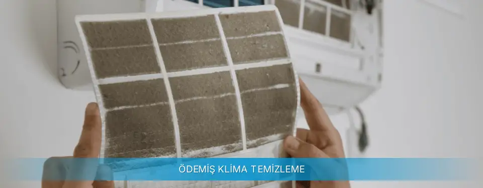 Ödemiş İlçemi Altus Klima Temizleme